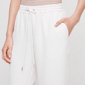 Aritzia Wilfred Buffon Pant